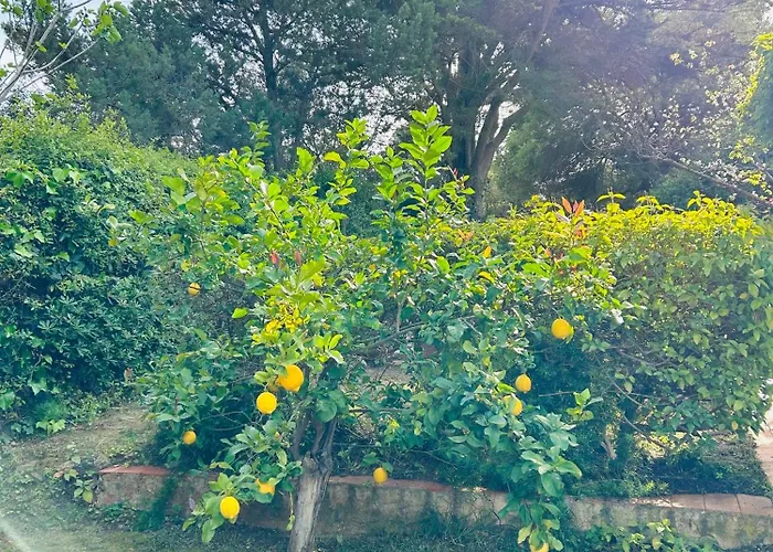 Villa Stella, With Garden, Five Minutes From The Beach