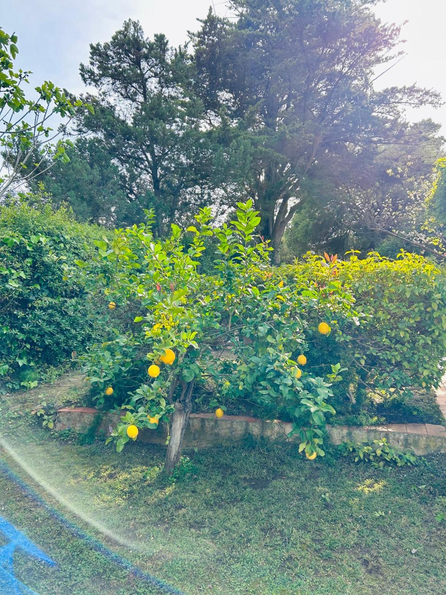 Stella, With Garden, Five Minutes From The * Torre delle Stelle