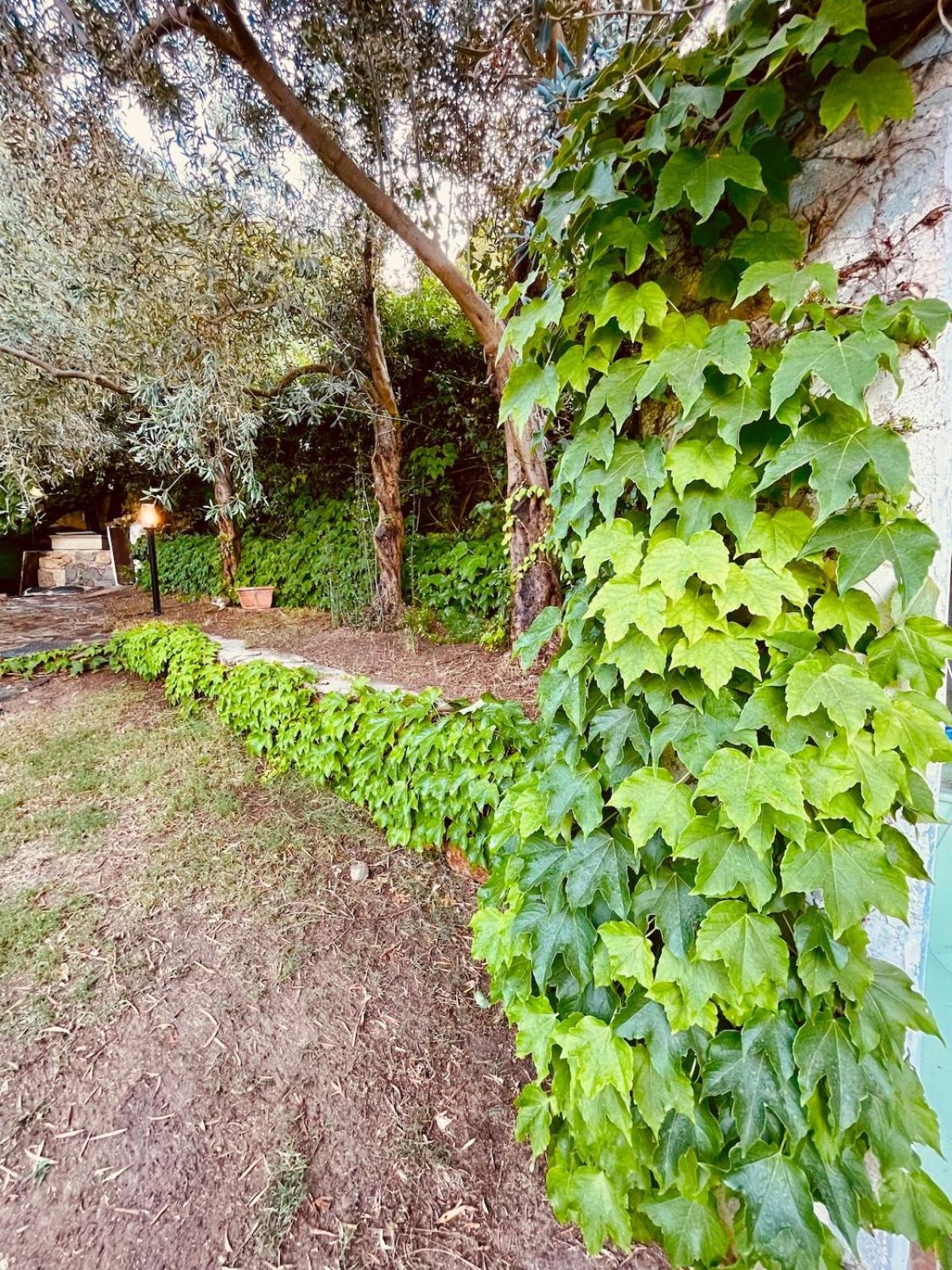 Holiday home Stella, With Garden, Five Minutes From The