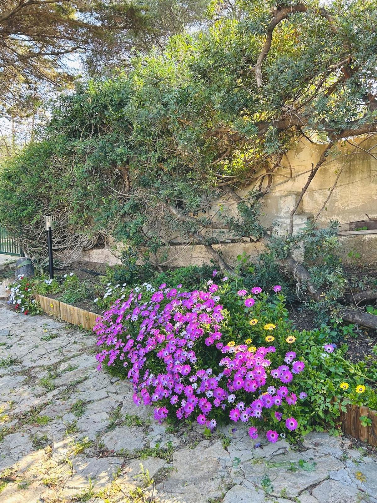Stella, With Garden, Five Minutes From The Holiday home Torre delle Stelle