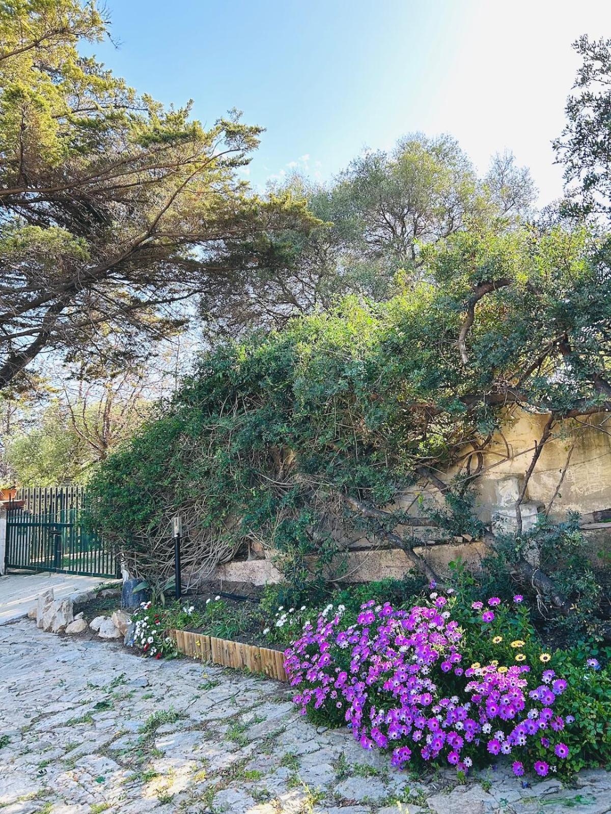 Stella, With Garden, Five Minutes From The * Torre delle Stelle