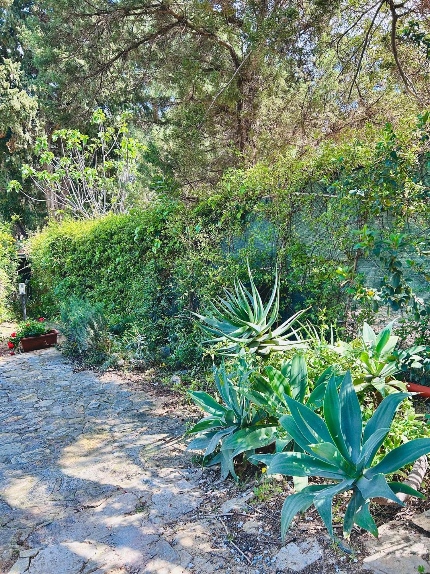 Stella, With Garden, Five Minutes From The Holiday home